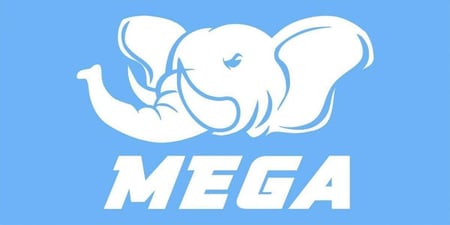 MEGA CEO banned from LoL until 2022 over contract breaches