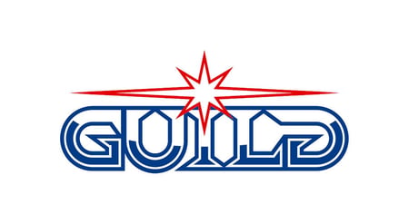 Guild of Guardians partners with eight esports brands