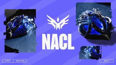 Doublelift’s LoL team Near Airport joins NACL