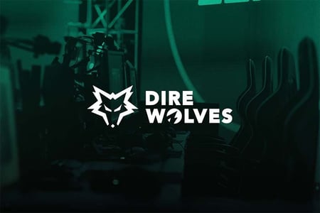 Dire Wolves round out League of Legends roster