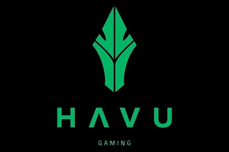 HAVU re-sign sLowi to Counter-Strike lineup full-time