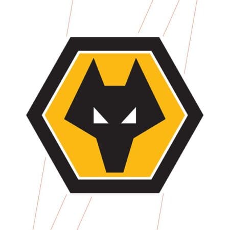 V1ya returns to Wolves Esports VALORANT roster