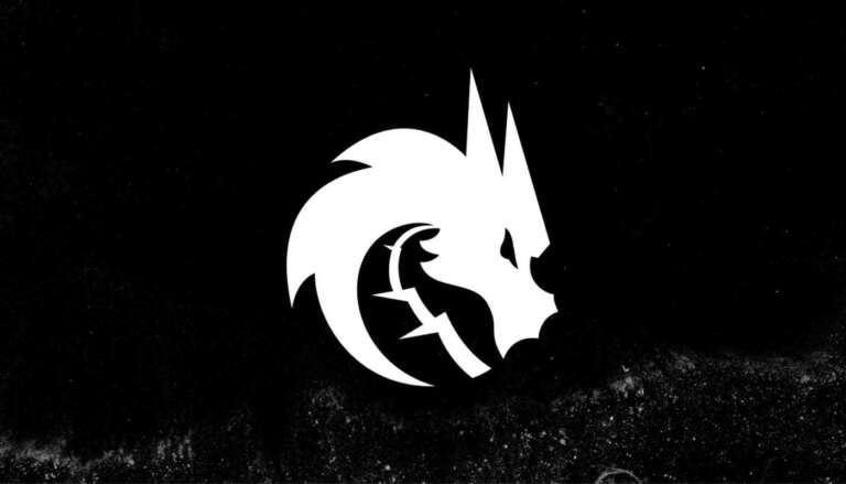 Team Spirit esports