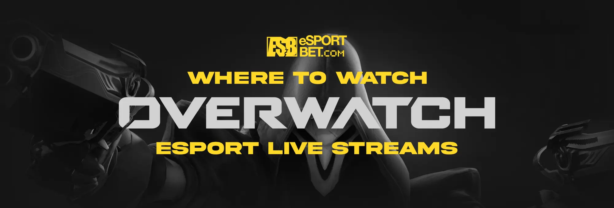 Overwatch esport live streams