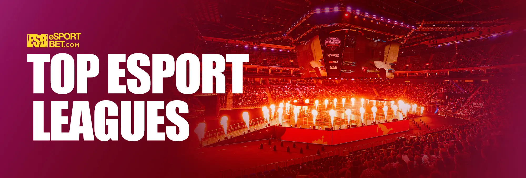 Professional esports leagues