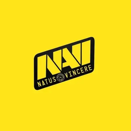 Koalanoob departs Natus Vincere VALORANT team