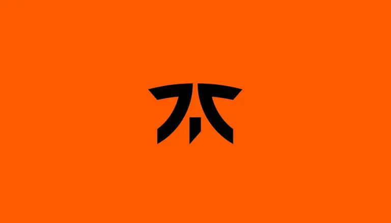 Fnatic esports team