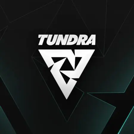 Dota 2 The International: Tundra Esports hit with late roster change