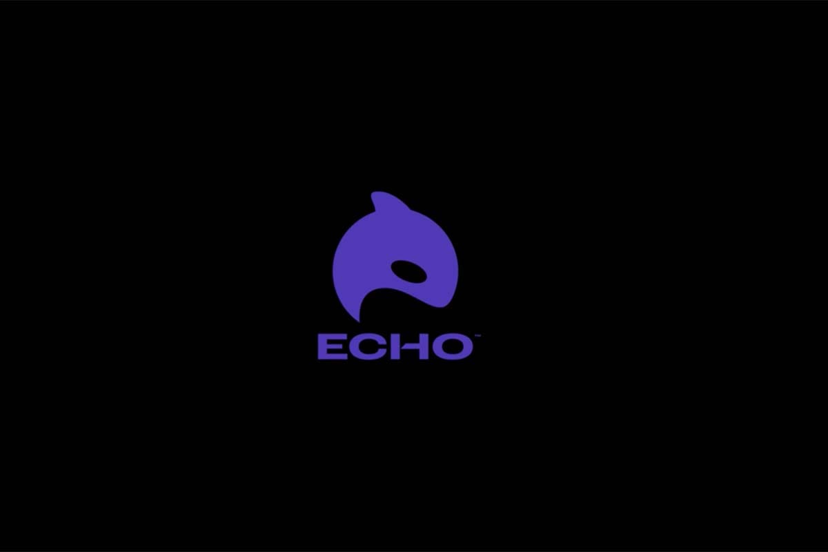 echo logo