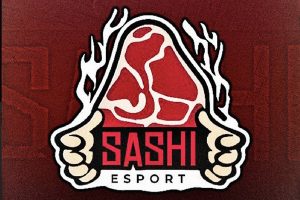 Sashi sign new players to Counter-Strike team