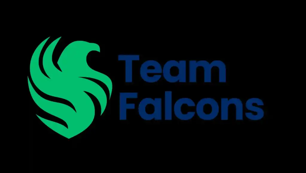 Team Falcons