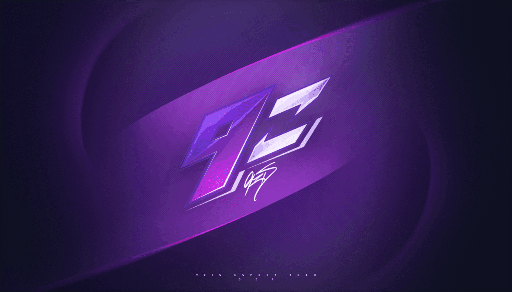 9z Team esports