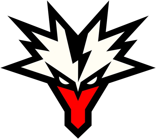 Team Yandex